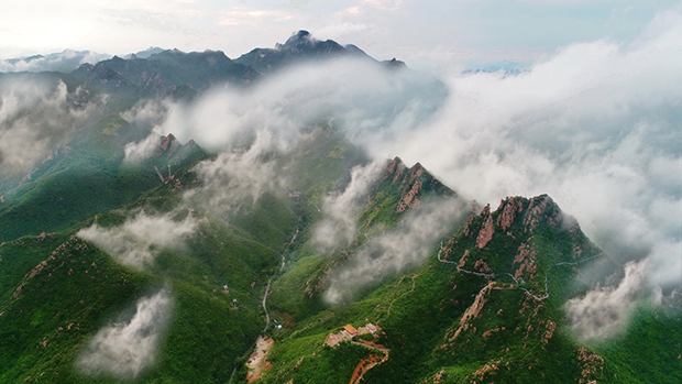 image003.jpg image003.jpg